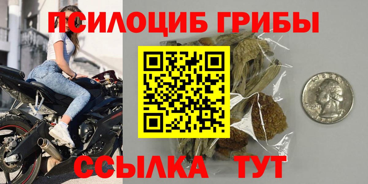 Псилоцибиновые грибы мухоморы Анжеро-Судженск