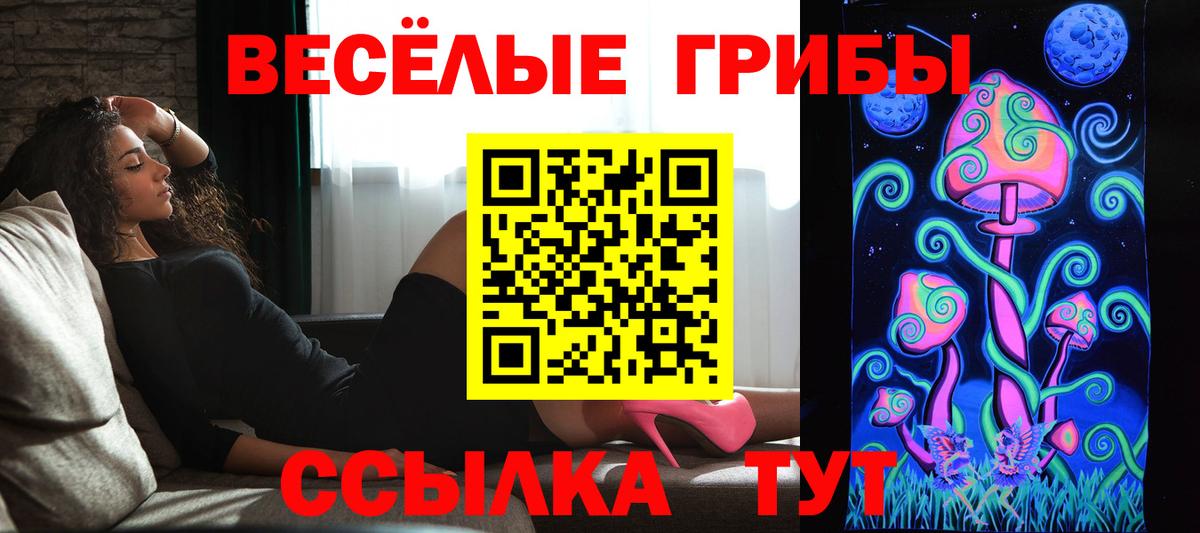 Анжеро-Судженск  Галлюциногенные грибы Cubensis  Вход с VPN 